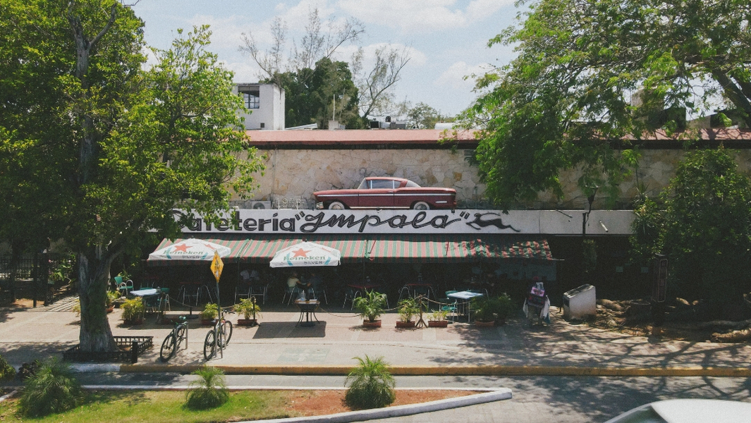 Foto de portada de Cafeteria Merida Impala ☕️ | The FIRST Coffee Shop since 1958 on Paseo de Montejo, Centro